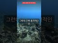 문어는 심장이 3개, 피가 파랗다