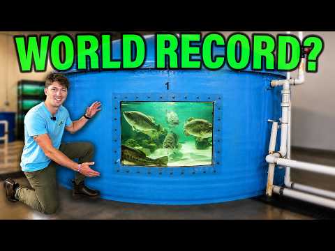 Does The Next World Record Bass Live Here?