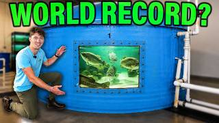 Does The Next World Record Bass Live Here?