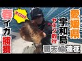 【ヤエン釣り】良型GET！愛媛県宇和島ヤエン釣行！