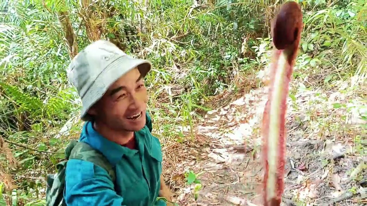 Spring outing into the forest to gather bamboo shoots.