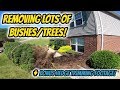 Landscape Tearout! | Removing Lots Of Bushes/Shrubs