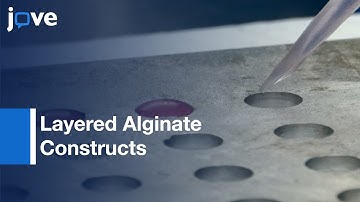 Layered Alginate Constructs: Platform: Co-Culture-Heterogeneous Cell Populations l Protocol Preview