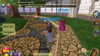 Wizard101: CamStudio Screen Recorder Test Run