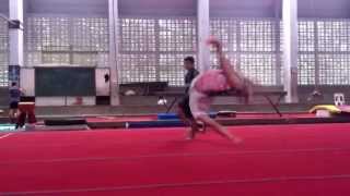Pivot Gainer flash&Sideswipe slowmotion