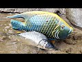 Find Goldfish In The River, Sea Fish Toys, Sharks, Penguins, Turtles, Lobster, Part144