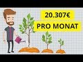 Wie ich 7 Einkommensquellen aufgebaut habe mit über 20.307€ pro Monat