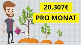 Wie ich 7 Einkommensquellen aufgebaut habe mit über 20.307€ pro Monat