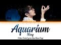 Nissy - Aquarium (Color Coded Lyrics Kan/Rom/Eng)