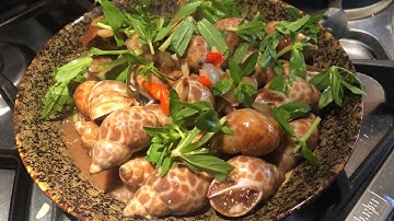 Sea Snail Stir Fried in Tamarind Sauce | Ốc Hương Sốt Me Chua Cay | Món ăn Chơi Đường Phố Tại Nhà