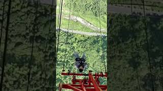 WHY YOU WANT TO DO THIS? - 9gag