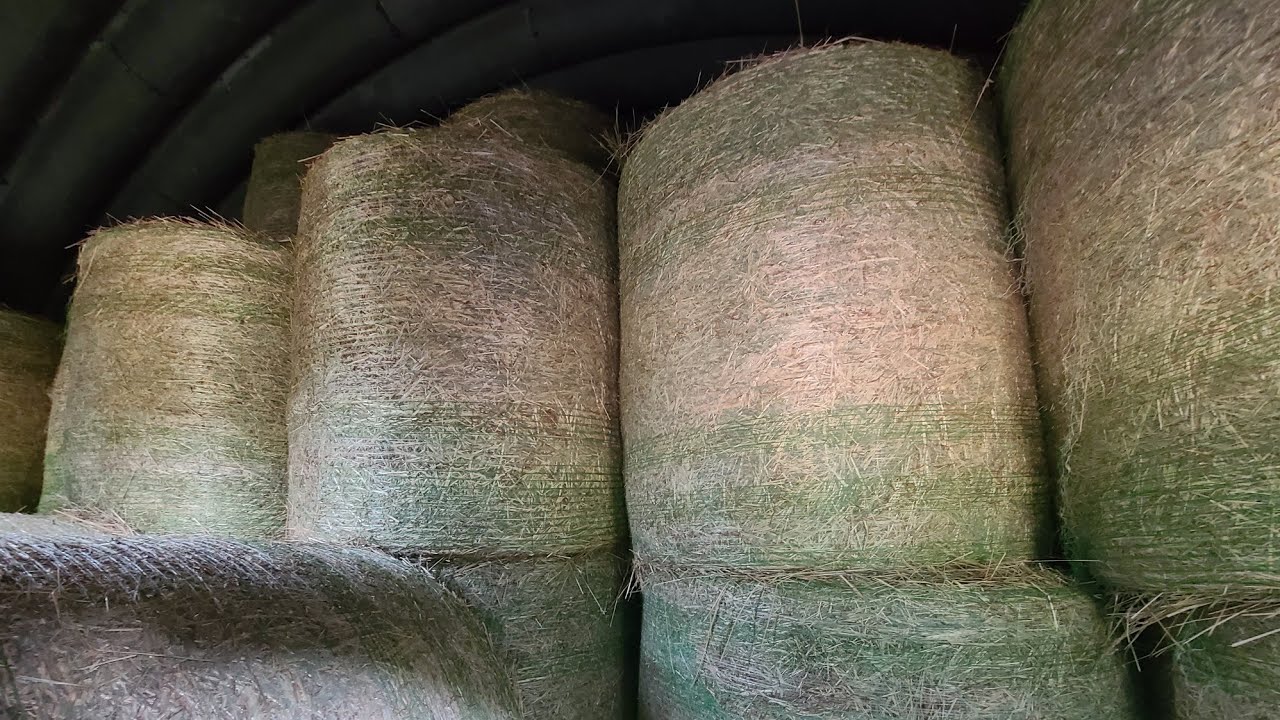 Checking My Stored Hay For Heating YouTube