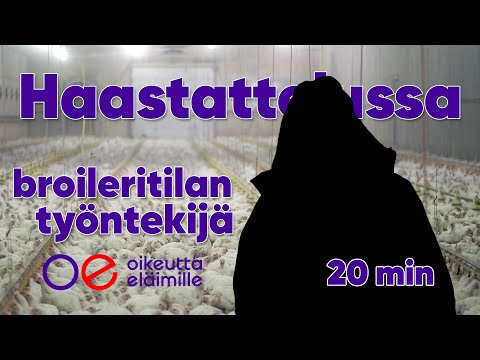 Video: Miksi elinympäristö on tärkeä eläimille?