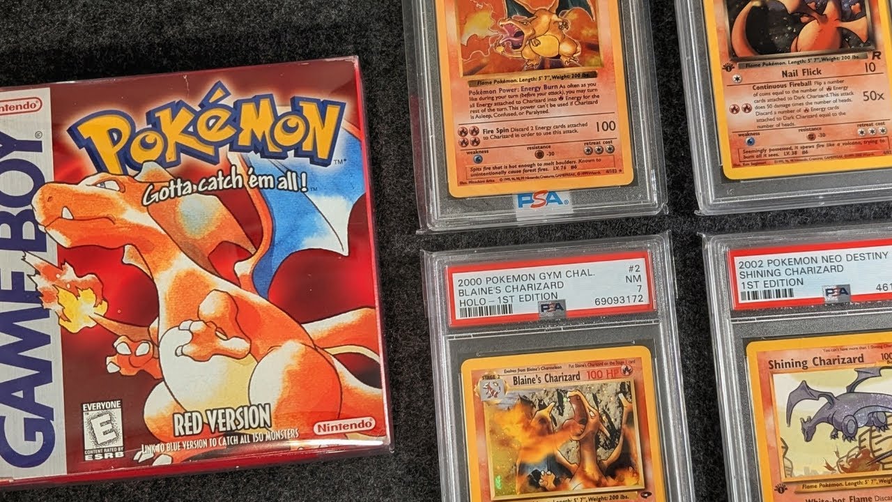 Inside a Vast Vintage Pokémon Collection