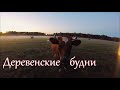 Чем я занималась последние несколько дней // Жизнь на хуторе