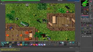 tibia Furia