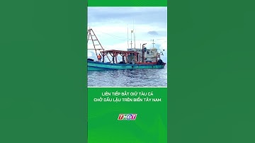 Liên tiếp bắt giữ tàu cá chở dầu lậu trên biển Tây Nam | Nông nghiệp miền Tây