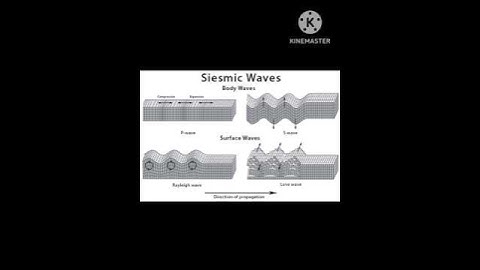 Mechanical Waves #mechanical #waves #soundwave #seismicwaves #waterwaves #ultrasound #generate#sonar