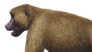 Theropithecus oswaldi Sound Effects