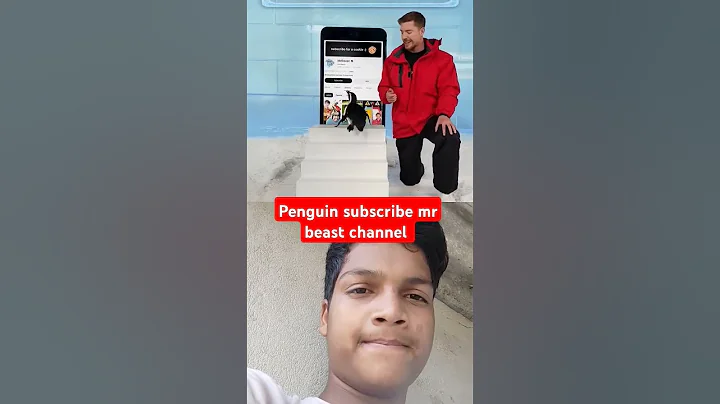 penguin subscribe Mr beast channel and complete 400M #mrbeast #greenff #funny