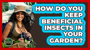 How Do You Keep Beneficial Insects In Your Garden? - Reptilian Wonders
