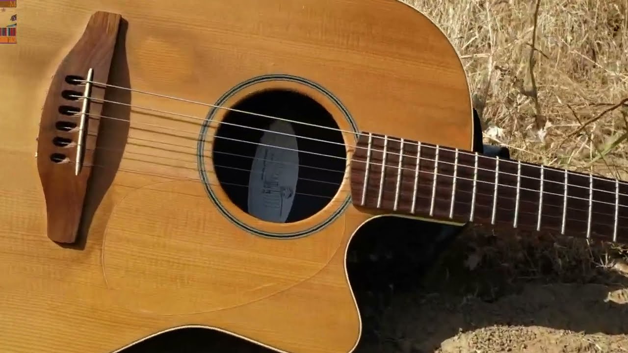 Spanish Fly w/Ovation Balladeer Special (S-861)