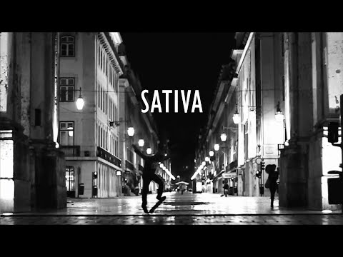 Dabey - Sativa