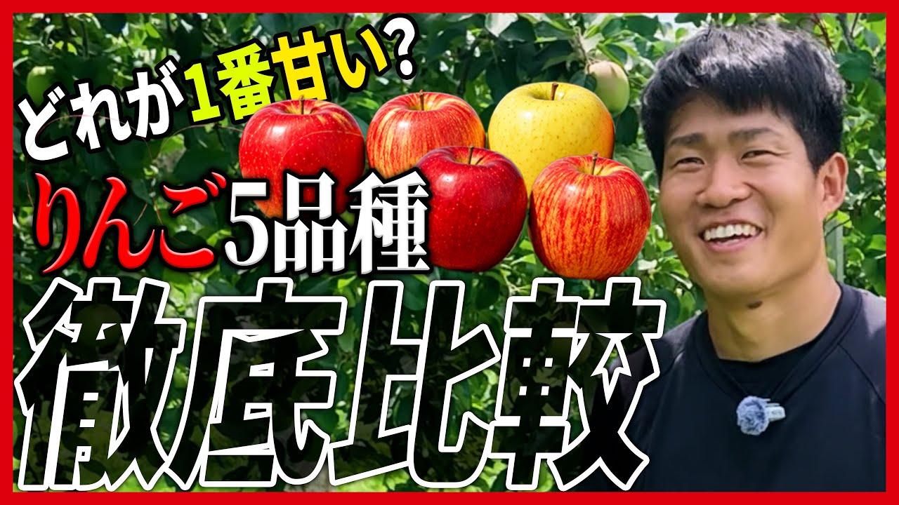 あっぷるりんご】 13品種のリンゴ紹介 | 合同会社トキあっぷる社