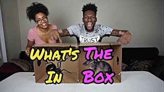 What's In The Box Challenge‼️😱😂