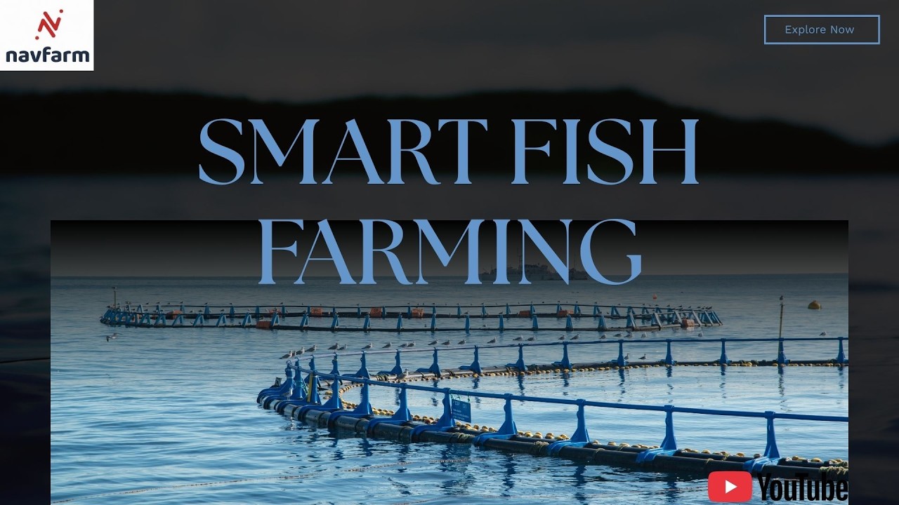 Smart Fish Farming with AI | Aquaculture Management with Navfarm - YouTube