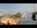 Unbelievable fishing|Catching The Big Rohu fish &amp; 2 types Carp fishes With Big Hook|Unique Fishing