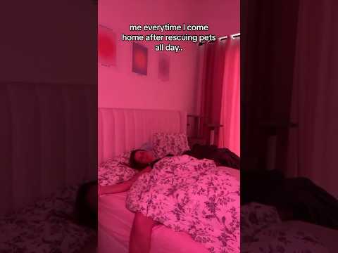 I Bet You Didn T See That Coming Short Bed