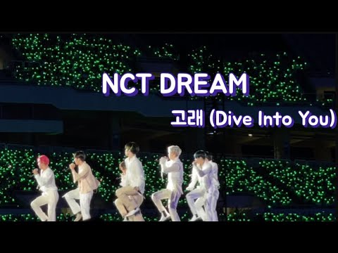 [NCT DREAM] 고래 (Dive Into You) THE DREAM SHOW 2 : IN A DREAM