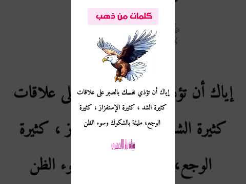 كلمات من ذهب إياك أن تؤذي نفسك بالصبر على علاقات كثيرة كلمات كلام من ذهب نزار نصائح لايك نزار بدكاست