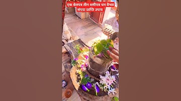 कार्तिक माह में एक बेलपत्र तीन शमीपत्र धन वैभव सुख संपदा प्राप्त उपाय #youtubeshorts #ytshort #upay