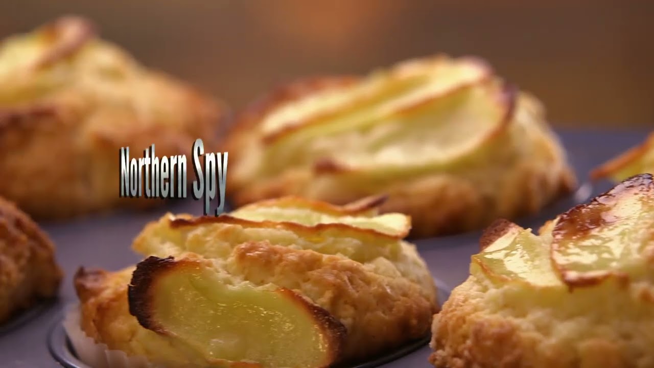 Food Factory Hindi – The Famous Cashews | Full Episode HD