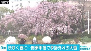 横浜で30年ぶり、3月下旬以降に1センチの積雪も(18/03/21)