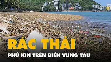 Cận cảnh rác thải nhựa theo lục bình phủ kín trên biển Vũng Tàu