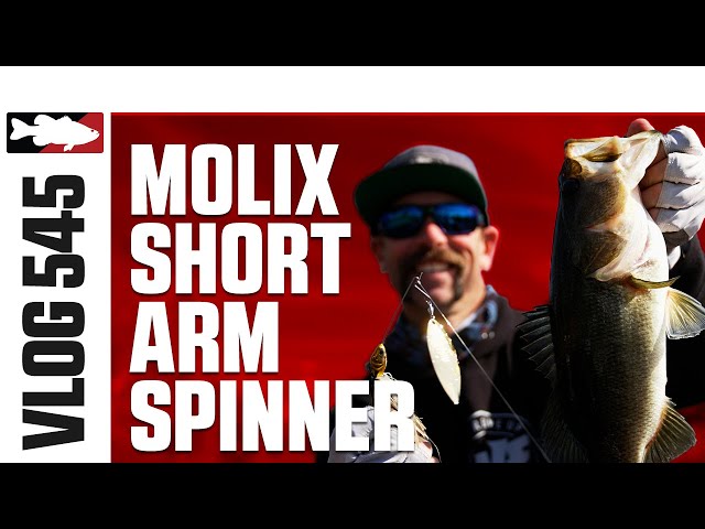 Ike Fishing the Molix Short Arm Spinnerbait in Florida - VLOG #545