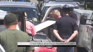 Child killed in Blount County Crash