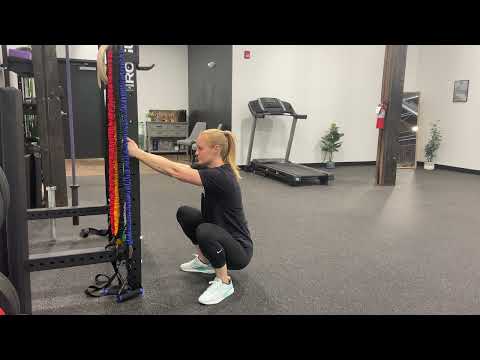 Assisted Deep Squat