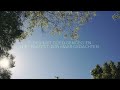 Sulah - In De Stilte Vind Je Mij LYRICS