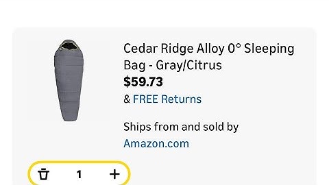 New York City Walking Tour 2025 Raw & Uncut | November 13th 2025 | EBT Thief 