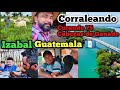 Corraleando Fuimos a curar 75 Cabezas de Ganado en Izabal Guatemala.