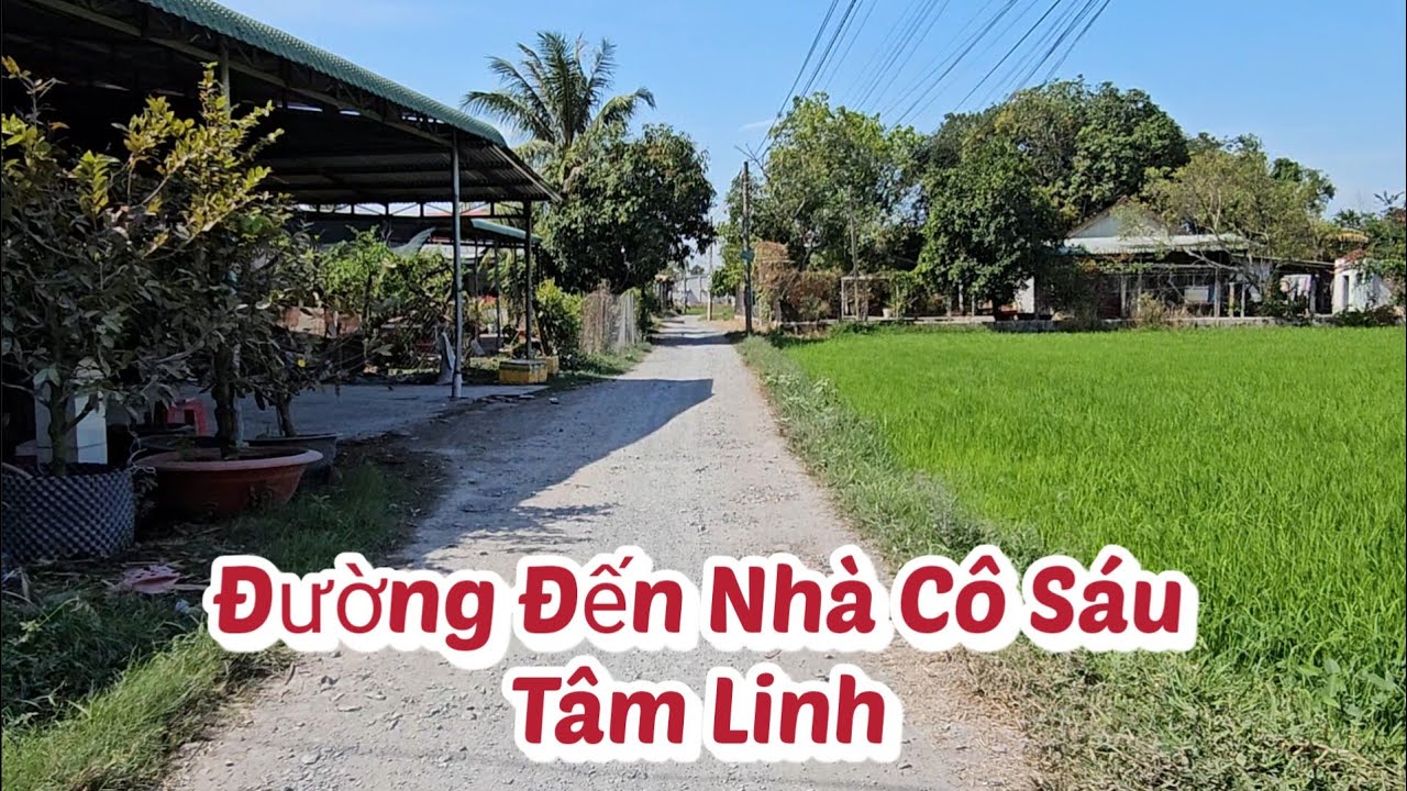 💥Путь к духовному дому госпожи Сау