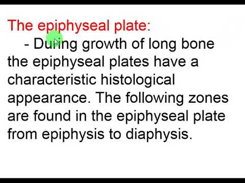 5. Epiphyseal plate الصفيحة المشاشية