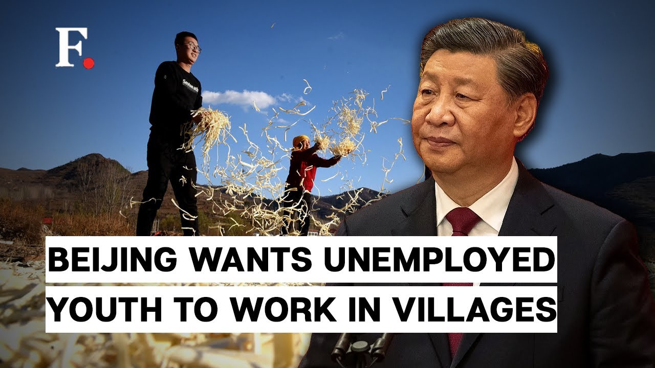 Xi Jinping Wants China's Youth To Work In Villages As Unemployment Rate Soars  F  Unpacked