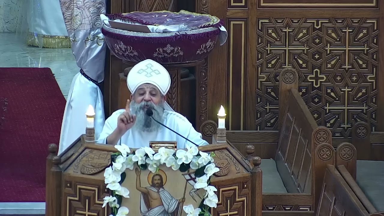 اسلكوا فى النور