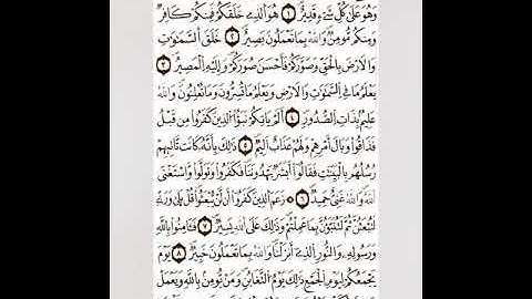 سورة التغابن رواية ورش _ ڨعفازي مروان