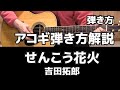 せんこう花火   吉田拓郎 アコギ弾き方解説